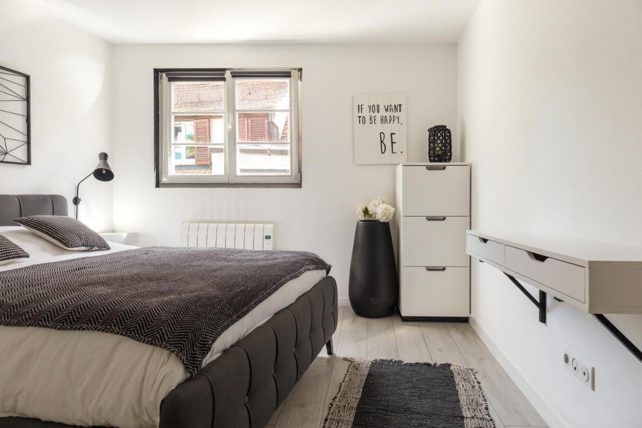 Appartements De La Pleiade 斯特拉斯堡 客房 照片